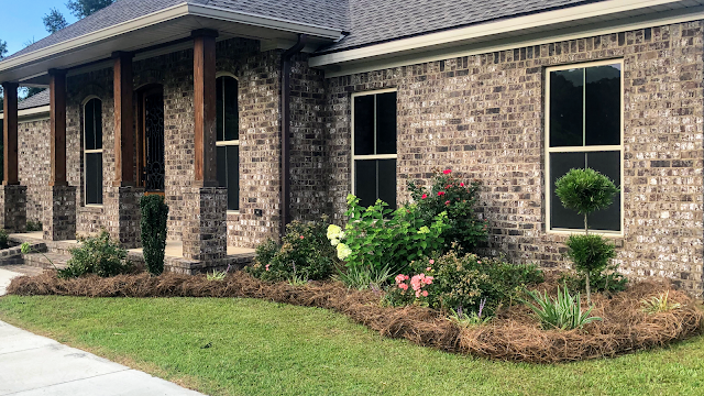 Lawn Care Engineers photo 3
