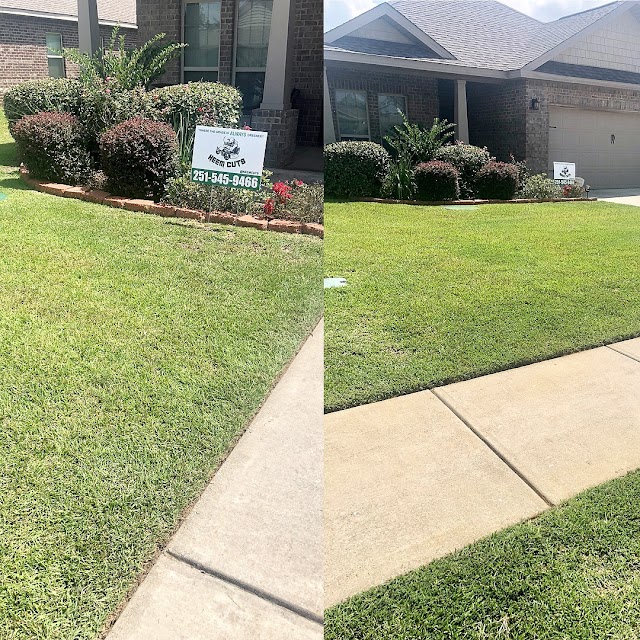 Lawn Care Engineers photo 4