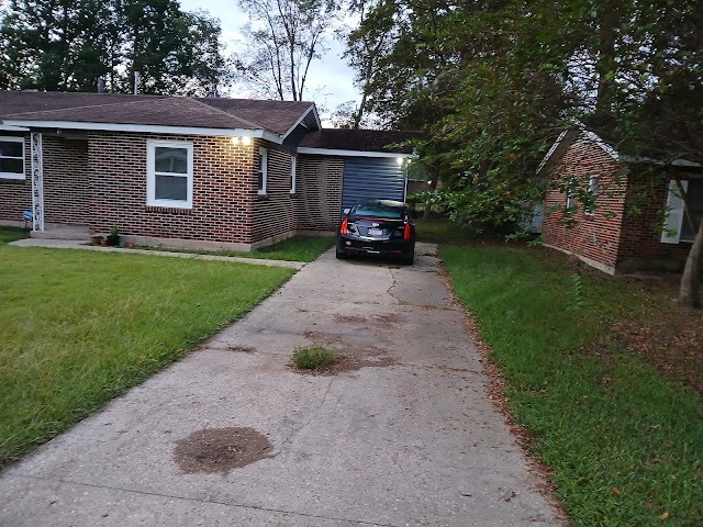 Lawn King photo 2