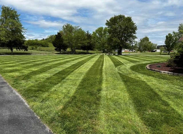 Lawn Mawnsta Landscaping photo 2