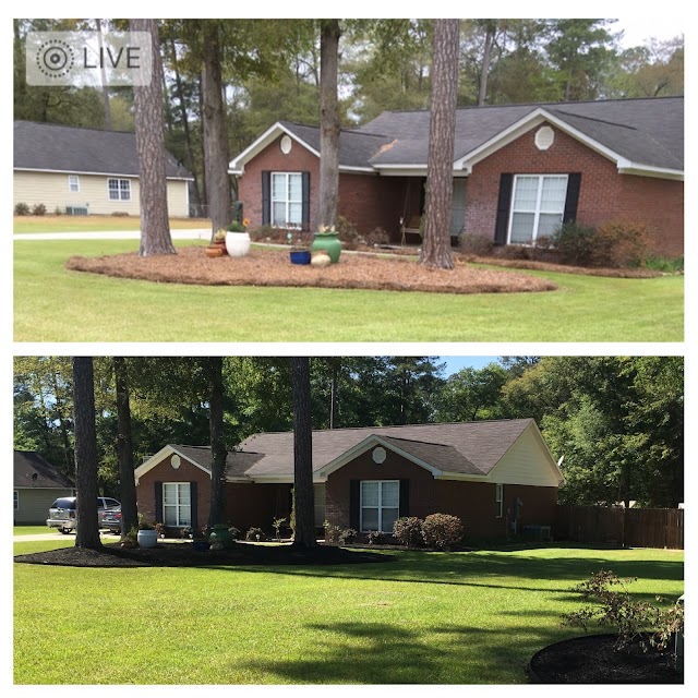 Lawn Mawnsta Landscaping photo 3