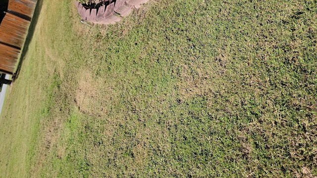 LawnStarter photo 3