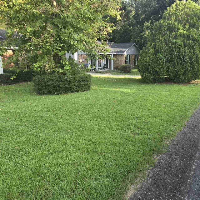 LawnStarter - Augusta photo 2