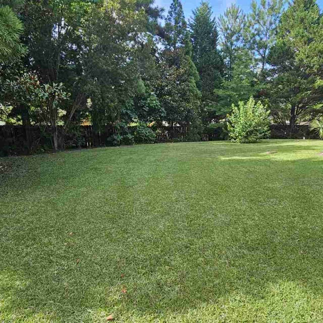LawnStarter - Augusta photo 4