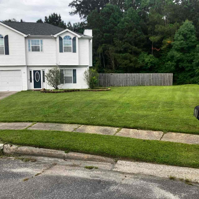 LawnStarter - Savannah photo 2
