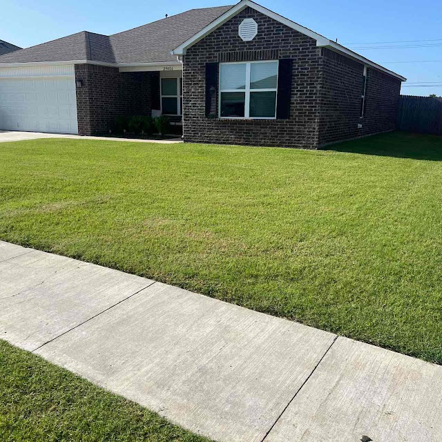 LawnStarter - Savannah photo 4