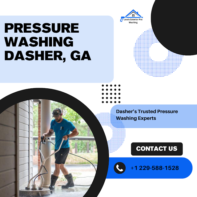 Lewis Exterior Pro Washing photo 3