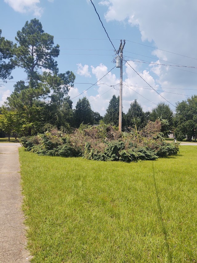 Lewis Tree Services photo 2