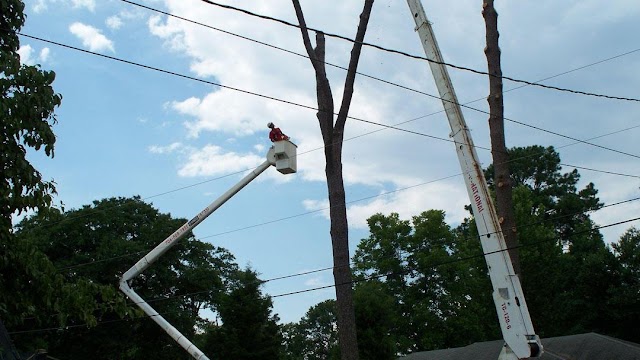 Linander's Tree Service LLC