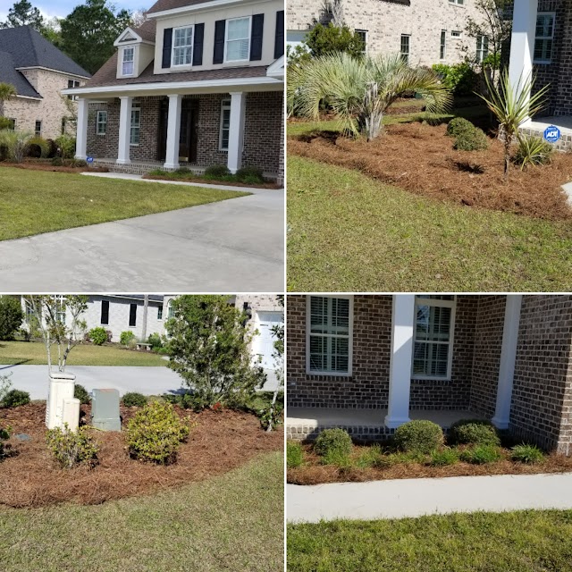 Lion Lawn Care - Maintenance & Landscaping photo 4