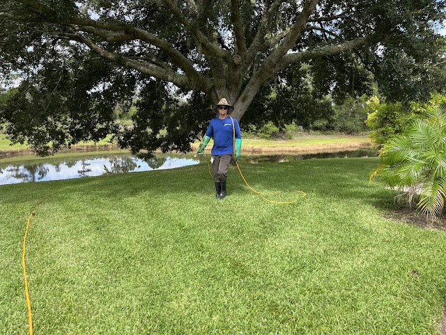Liquid Lawn