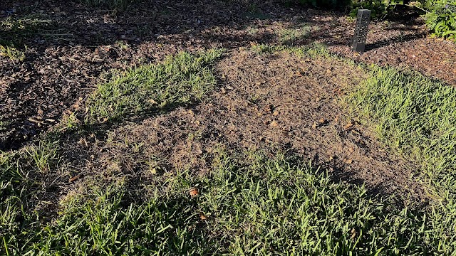 Liquid Lawn photo 2