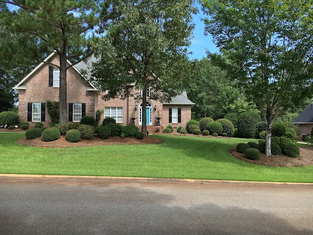 Liquid Lawn photo 4