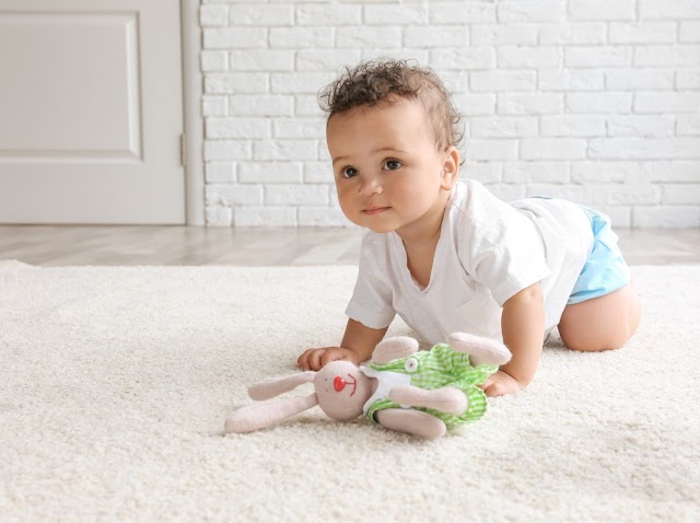 LocalPro Carpet Cleaning