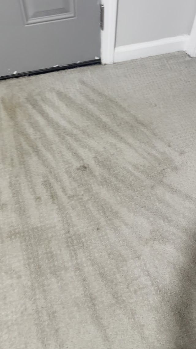 LocalPro Carpet Cleaning photo 3