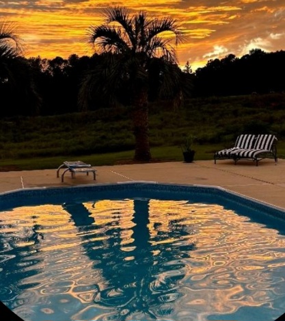 Lovett's Pools Supply & Service photo 2