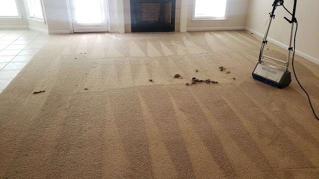 Maid Valet Restoration photo 2