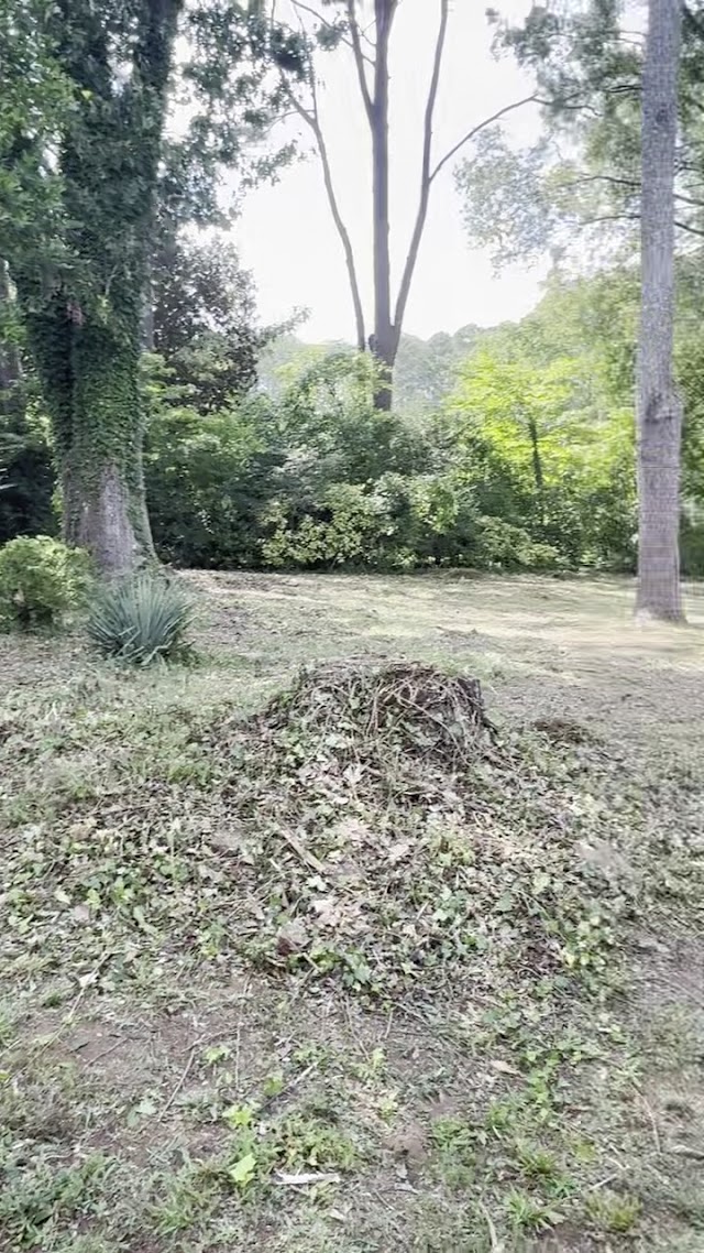 Mako Lawncare photo 3