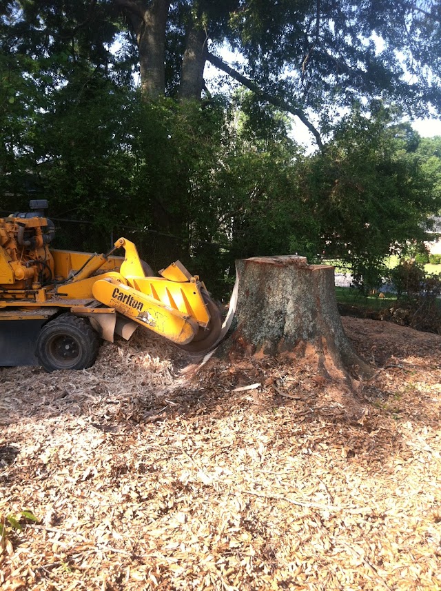 Manley's Stump Grinding