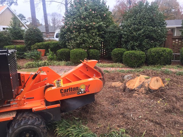 Manley's Stump Grinding photo 2