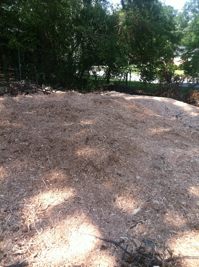 Manley's Stump Grinding photo 3
