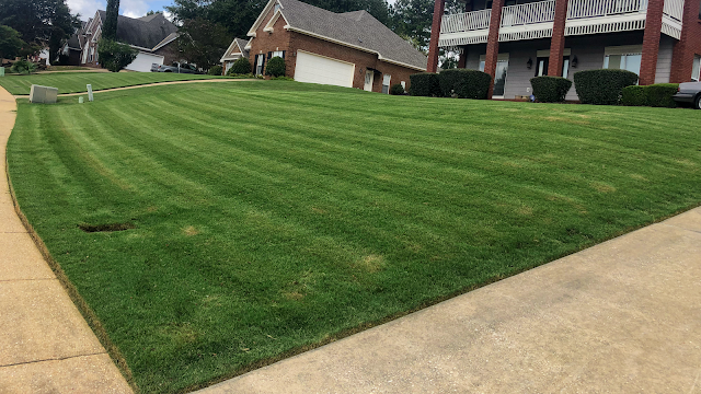 Martinez Lawn Care
