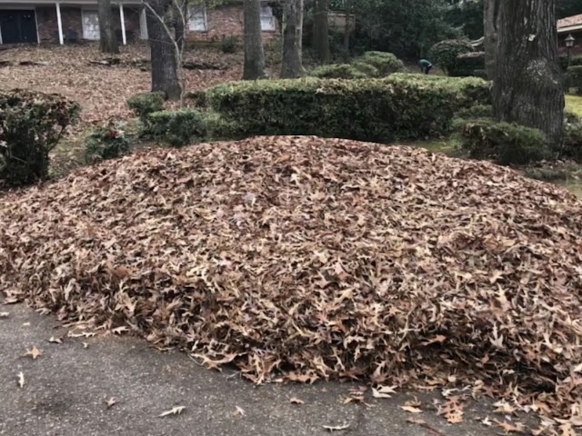 Martinez Lawn Care photo 2