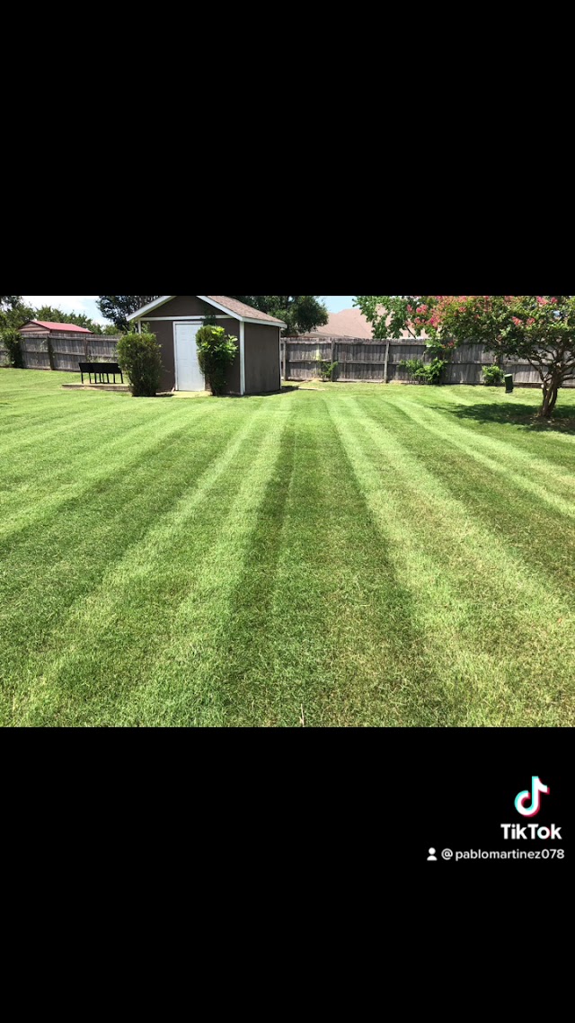 Martinez Lawn Care photo 3