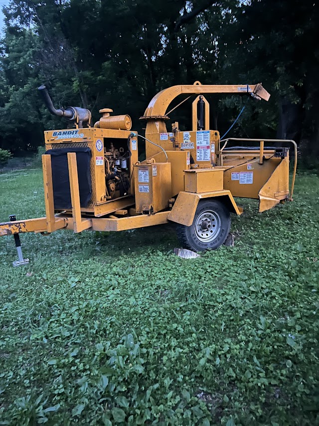 Martinez Tree Care & Landscaping LLC photo 2