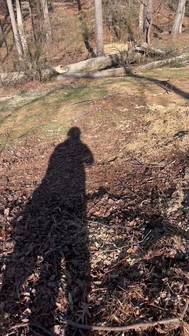 Martinez Tree Care & Landscaping LLC photo 3