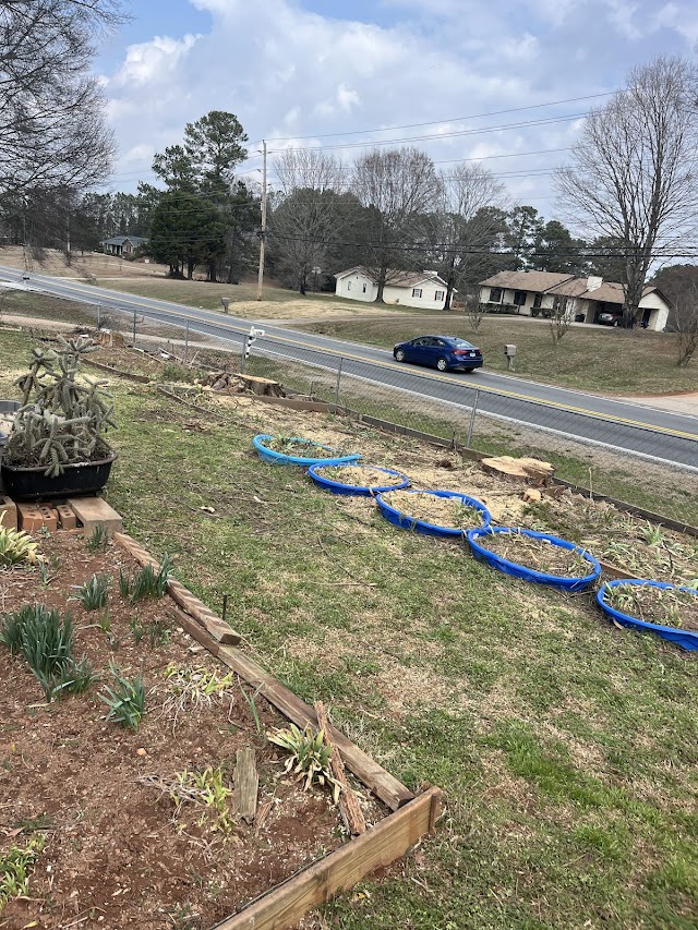 Martinez Tree Care & Landscaping LLC photo 4