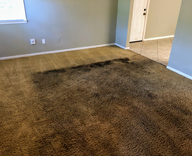 Masterkleen Carpet Care LLC photo 2