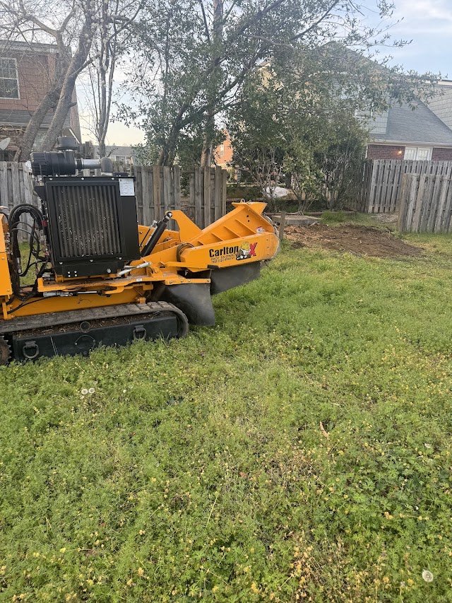 Matias tree service photo 2