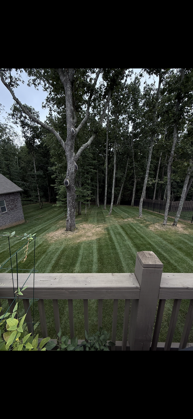 MC Lawn & Landscaping LLC photo 3