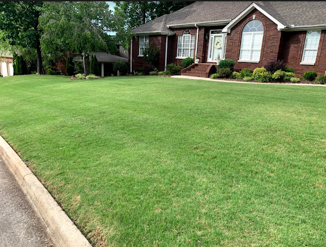 Meadow Landscaping and Lawn Care photo 3
