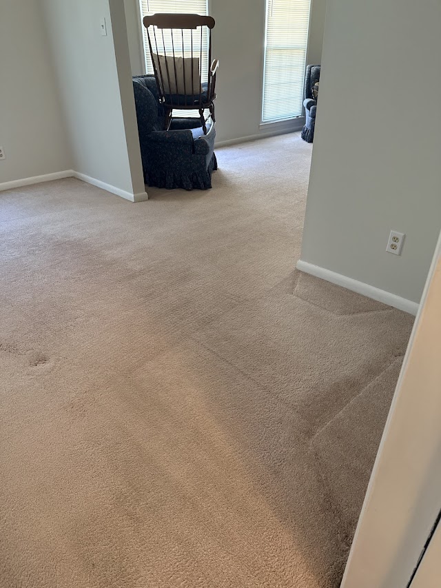 Mean Steam Carpet Cleaning LLC photo 4