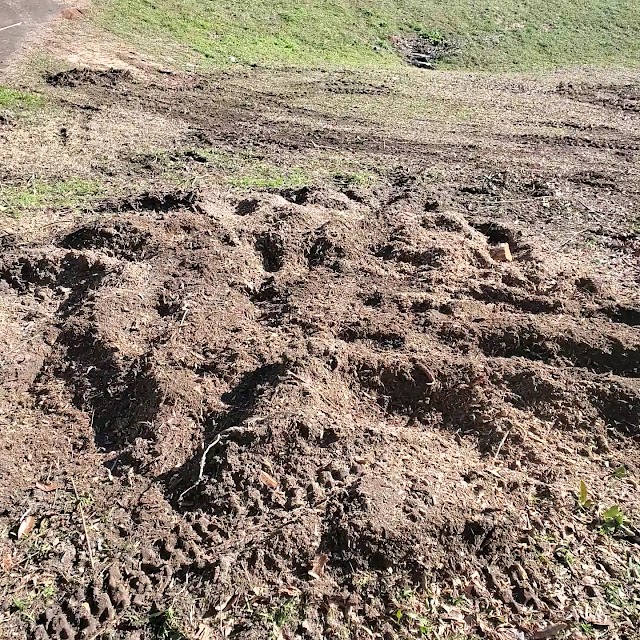 Middle Georgia Stump Grinding photo 2