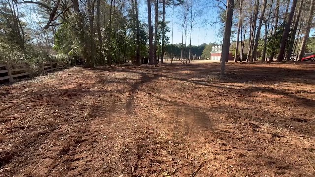 Middle Georgia Stump Grinding photo 3