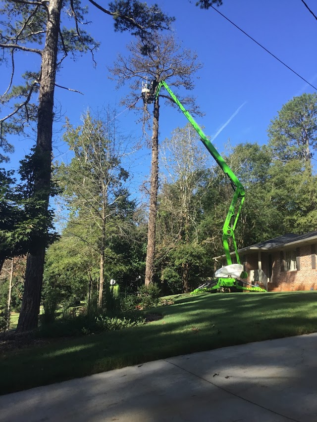 Mighty Fine Tree Care photo 1