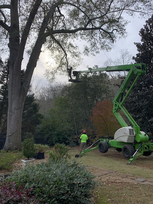 Mighty Fine Tree Care photo 2