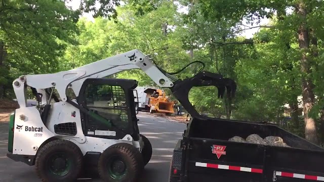 Mighty Fine Tree Care photo 3