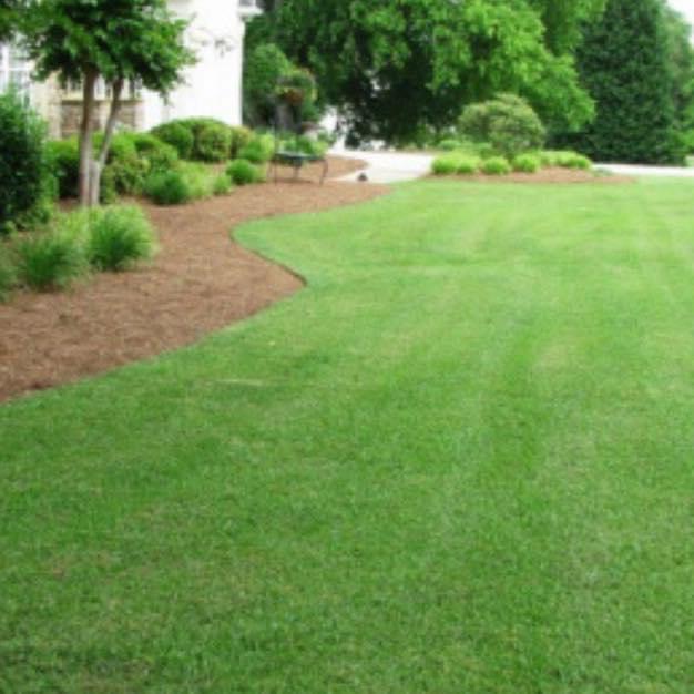 Mighty Tidy Lawn Care and More LLC photo 2