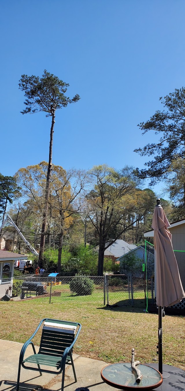 Mike's Tree Service photo 2