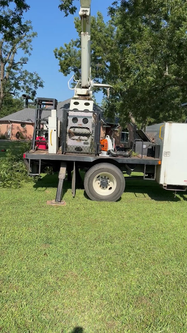 Mike's Tree Service photo 3