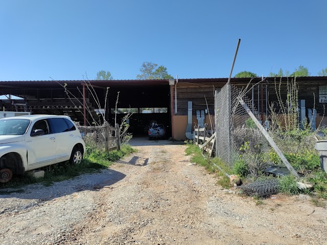 Mims Recycling & Salvage photo 1
