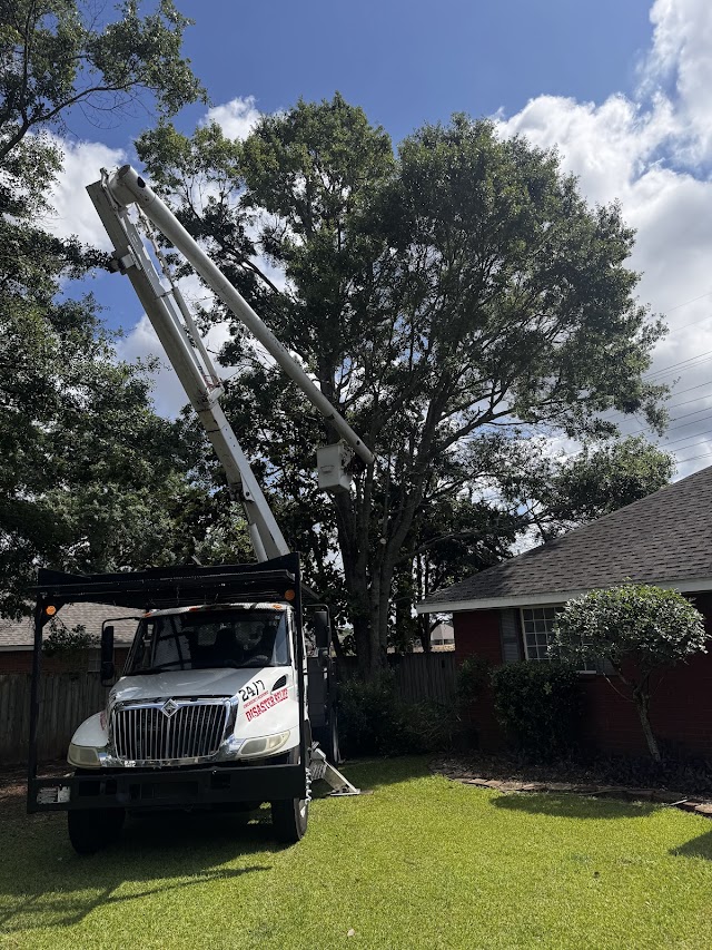 Mobile Land and Tree