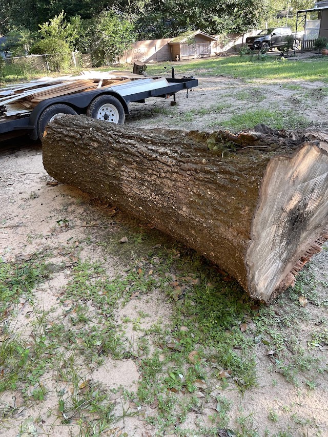 Mobile Land and Tree photo 3