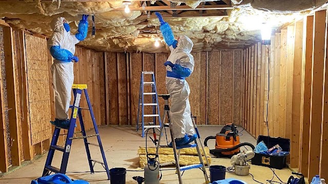 Mold Experts of Atlanta LLC photo 1