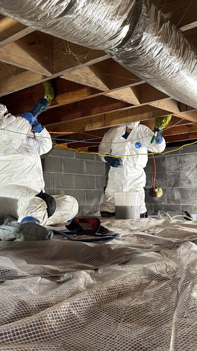 Mold Experts of Atlanta LLC photo 2