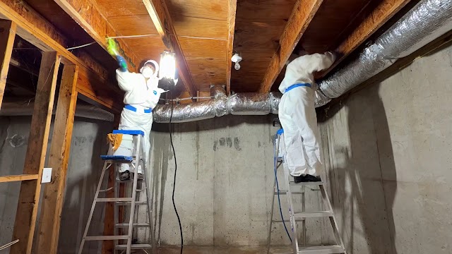 Mold Experts of Atlanta LLC photo 4